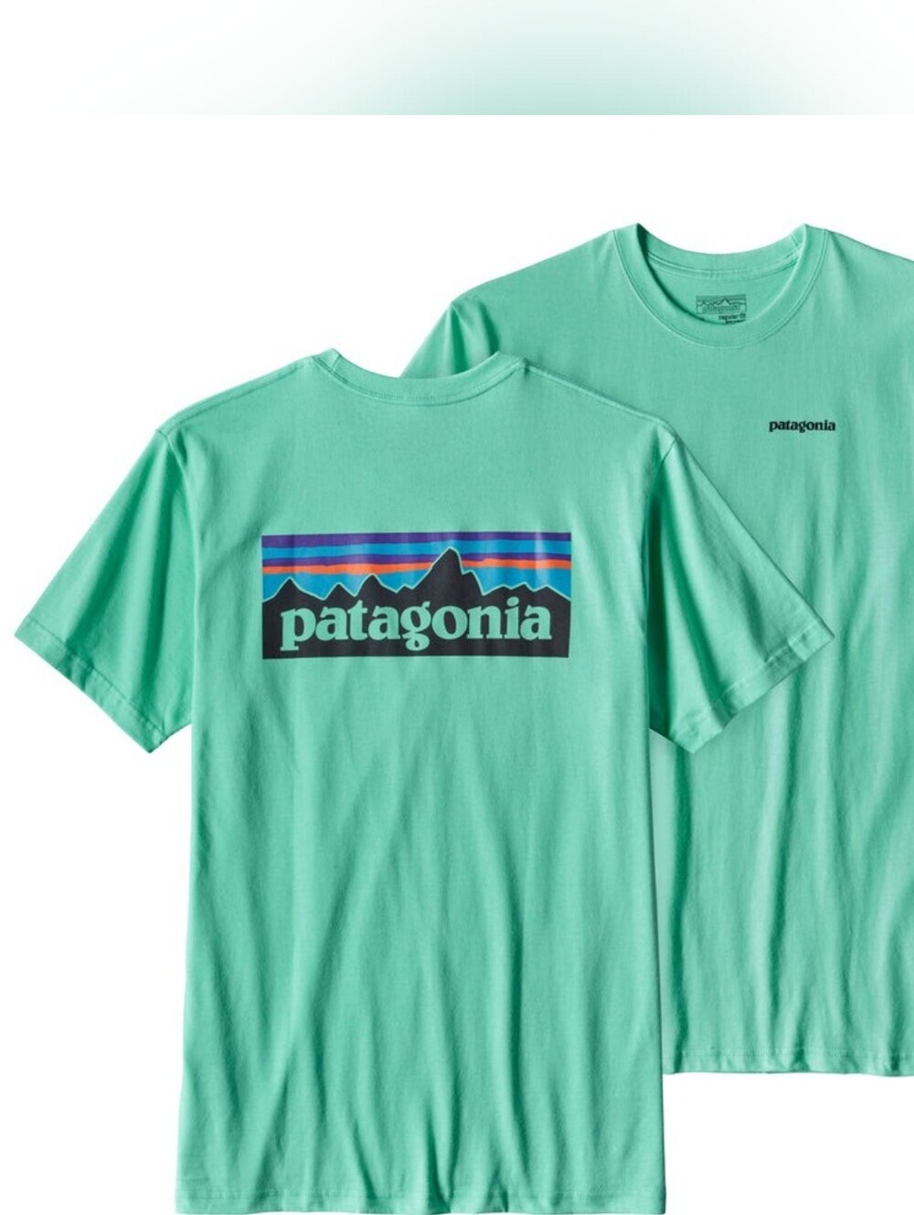 Patagonia Men's P-6 Logo Cotton T-Shirt Blue Green Size Medium Gorpcore 38906